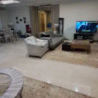 اندرزگو سلیمی شمالی 160متر سه خوابه دومستر|اجارهٔ آپارتمان|تهران, حکمت|دیوار