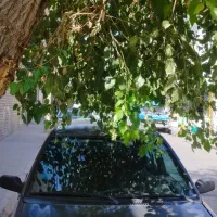 پراید دوگانه 85