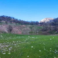 پالسی واقعی وطبیعت گردی