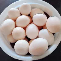 تخم مرغ محلی تازه