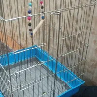قفس پرنده|لوازم جانبی حیوانات|تهران, باغ خزانه|دیوار