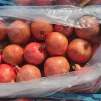 فروش عمده انار ملس ساوه ممتاز|خوردنی و آشامیدنی|گرگان, |دیوار