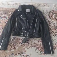 کاپشن اسپورت چرمی خارجی|لباس|کاشمر, |دیوار