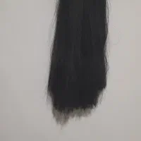 کلاه گیس