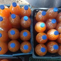 سرکه سیب دماوند