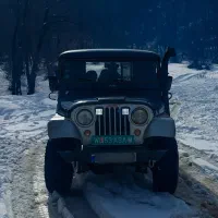 جیپ صحرا مدل ۷۰|خودرو کلاسیک|چمستان, |دیوار