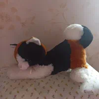 عروسک های تازه|اسباب‌بازی بچه|سقز, |دیوار