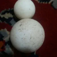 الماس اسیاب