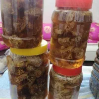 عسل بکر کوهی