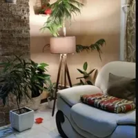 آباژور
