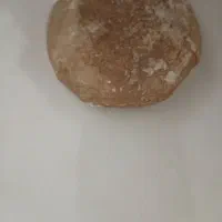 فسیل ستاره دریایی