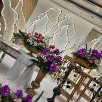 دیجی dj کاملا حرفه‌ای خانم با سابقه 10 ساله