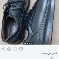 کفش اسپورت مجلسی روزمره|کیف، کفش، کمربند|شیراز, گلکوب|دیوار