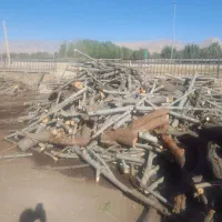 خرید انواع چوب|خدمات باغبانی و درختکاری|خرم‌آباد, |دیوار