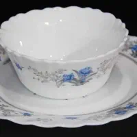 ارکوپال گرد زیبا گل ابی|ظروف سرو و پذیرایی|اصفهان, شهشهان|دیوار