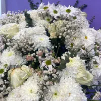 ادیتور هستم