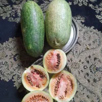 هندوانه دیم کندهلان شیرین و آبدار