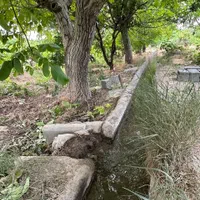فروش باغچه ۳۴۰ متری بااقساط بلندمدت|فروش زمین و ملک کلنگی|رباطکریم, انجم آباد|دیوار