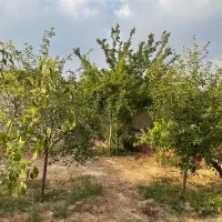 فروش باغ شهری|فروش خانه و ویلا|شیراز, دوکوهک|دیوار