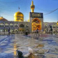 مشهد امروز حرکت قیمت چارتری|تور و چارتر|آباده, |دیوار