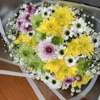 هدیه رایگان