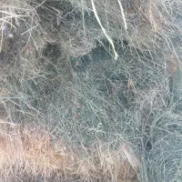 یونجه|لوازم جانبی حیوانات|قیدار, |دیوار