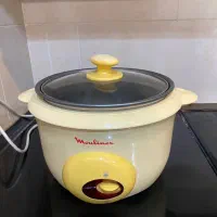 پلو پز وبخار پز مولینکس|اجاق گاز و لوازم برقی پخت‌وپز|شیراز, قدوسی غربی|دیوار