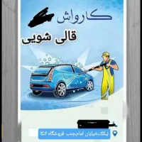 نیرو کارواش