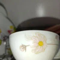 سرویس اوپال ۶ماه استفاده شده|ظروف سرو و پذیرایی|پره‌سر, |دیوار