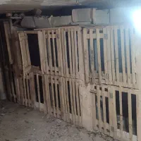 درب قفس برای لاری