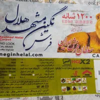 فروش 4 قطعه فرش 6 متری|فرش|میاندوآب, |دیوار