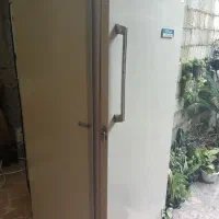 فریزر ارج|یخچال و فریزر|رشت, فخب|دیوار