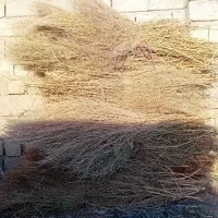 جارو دستی|لوازم نظافت|میاندوآب, |دیوار