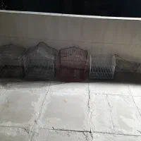 انواع قفس محکم نو نو|پرنده|بیرجند, |دیوار