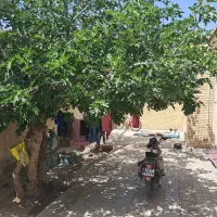 فروش-خانه-کلنگی-درپیربکران