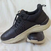 کفش اکو سایز ۳۸