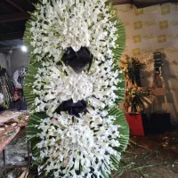 خدمات انواع گل تبریک تسلیت افتتاحیه|خدمات پذیرایی، مراسم|ری, صالح‌آباد شرقی|دیوار