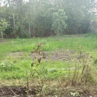 زمین مسکونی