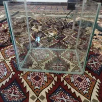 آکواریم به همراه تصفیه هنگان