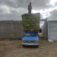 یونجه تازه و انباری ارسال ب کل کشور