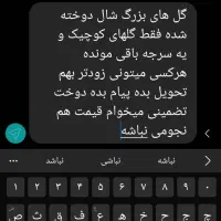 موسوم دوز بیاد|لباس|قرقری, |دیوار