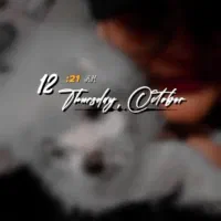 سگ شیتزو تریر