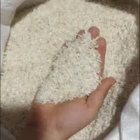 فروش برنج ایرانی دم سیاه