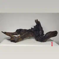 دریفت وود|ماهی|تهران, منیریه|دیوار