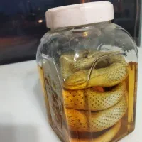 یخچال ایستاده فروشگاهی|فروشگاه و مغازه|سجاس رود, |دیوار