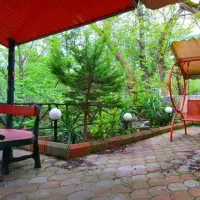 عاشق جنگل و سرسبزی هستی بیا اینو بخردیگه جنگل نرو