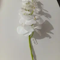 گل مصنوعی|گل مصنوعی|جوانرود, |دیوار