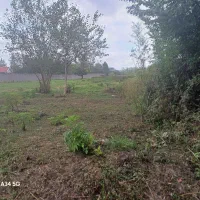 فروش خانه ویلایی ۱ هکتار ۳ خوابه در گلسار|فروش خانه و ویلا|رشت, گلسار|دیوار