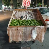 کاری کاسبی