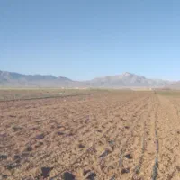 زمین کشاورزی